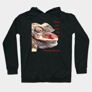 You Are One In A Chameleon Punny Joke Hoodie